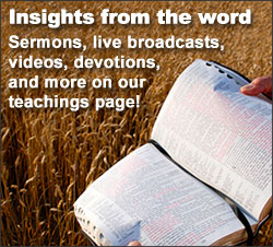 Insights from the Word